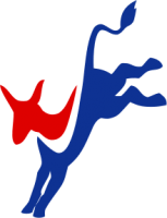 I (Margarita Lacabe) am running for the Democratic Central Committee.  Here is why.